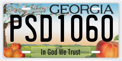GA license plate PSD1060