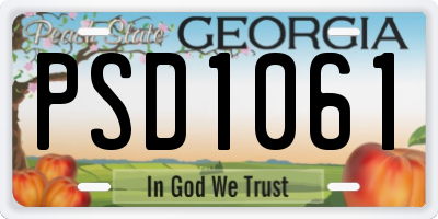 GA license plate PSD1061
