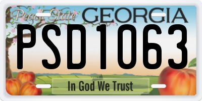 GA license plate PSD1063