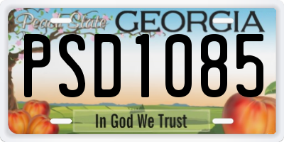 GA license plate PSD1085
