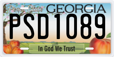 GA license plate PSD1089