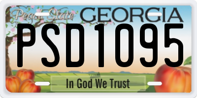 GA license plate PSD1095