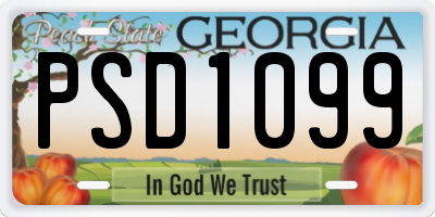 GA license plate PSD1099