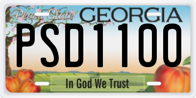 GA license plate PSD1100