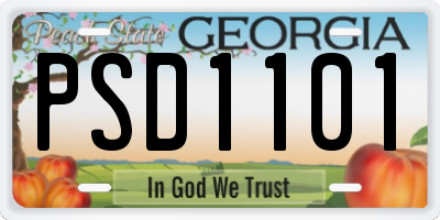 GA license plate PSD1101
