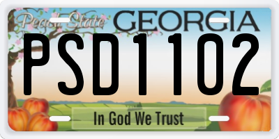 GA license plate PSD1102