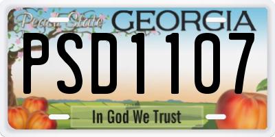 GA license plate PSD1107
