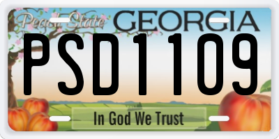 GA license plate PSD1109