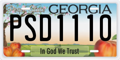 GA license plate PSD1110