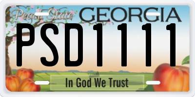 GA license plate PSD1111