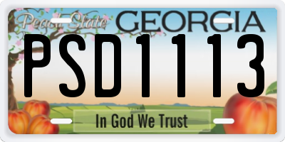 GA license plate PSD1113