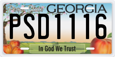 GA license plate PSD1116
