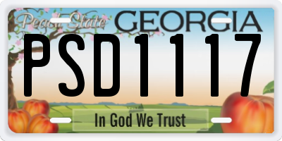 GA license plate PSD1117