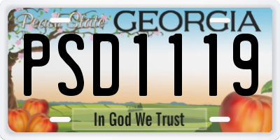 GA license plate PSD1119