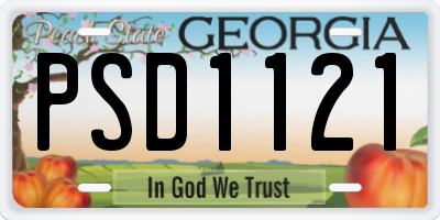 GA license plate PSD1121