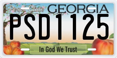 GA license plate PSD1125