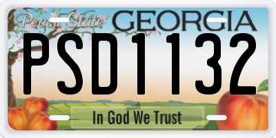 GA license plate PSD1132