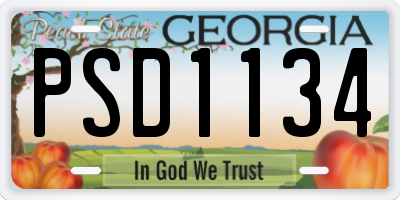 GA license plate PSD1134