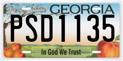 GA license plate PSD1135