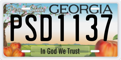 GA license plate PSD1137