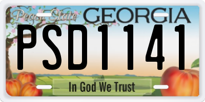 GA license plate PSD1141