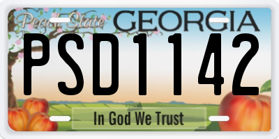 GA license plate PSD1142