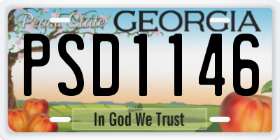 GA license plate PSD1146
