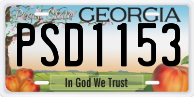 GA license plate PSD1153