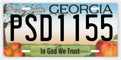 GA license plate PSD1155