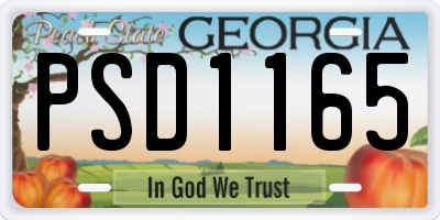 GA license plate PSD1165