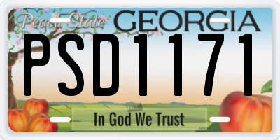 GA license plate PSD1171