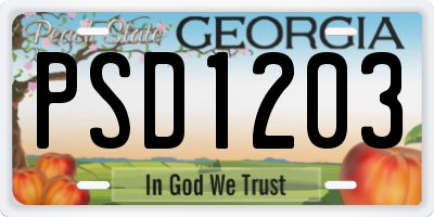 GA license plate PSD1203