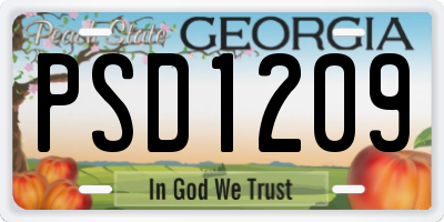 GA license plate PSD1209