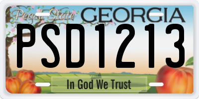GA license plate PSD1213
