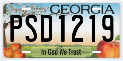 GA license plate PSD1219