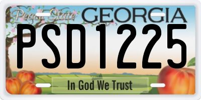 GA license plate PSD1225