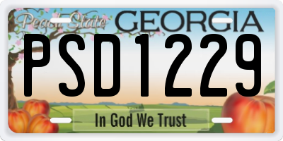 GA license plate PSD1229