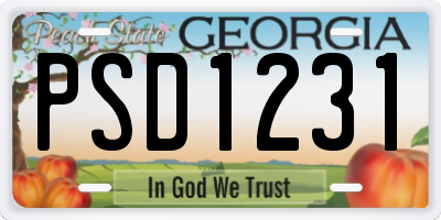 GA license plate PSD1231