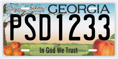 GA license plate PSD1233