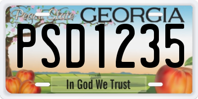 GA license plate PSD1235