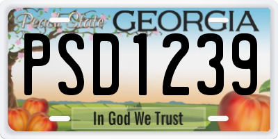 GA license plate PSD1239