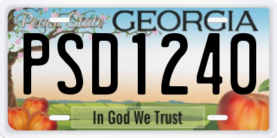 GA license plate PSD1240