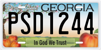 GA license plate PSD1244