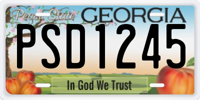 GA license plate PSD1245