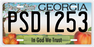 GA license plate PSD1253