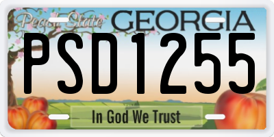 GA license plate PSD1255