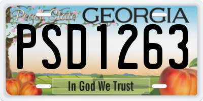GA license plate PSD1263