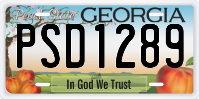 GA license plate PSD1289