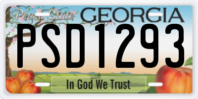 GA license plate PSD1293