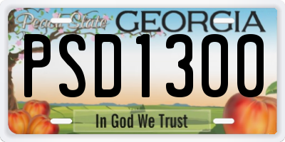 GA license plate PSD1300